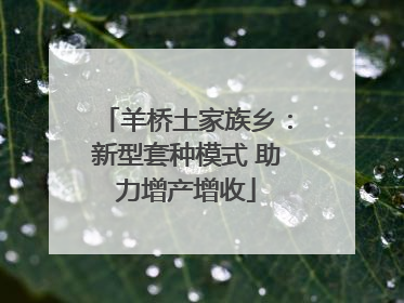 羊桥土家族乡：新型套种模式 助力增产增收