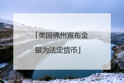 美国佛州宣布金银为法定货币