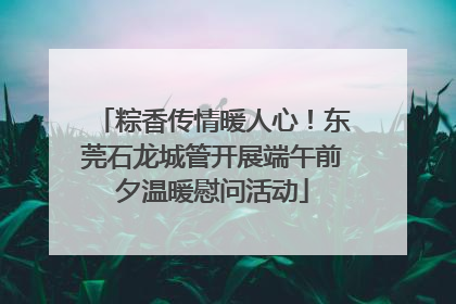 粽香传情暖人心！东莞石龙城管开展端午前夕温暖慰问活动