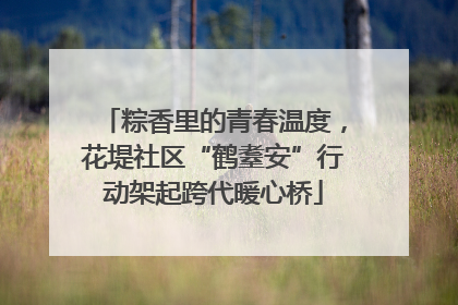 粽香里的青春温度，花堤社区“鹤耋安”行动架起跨代暖心桥