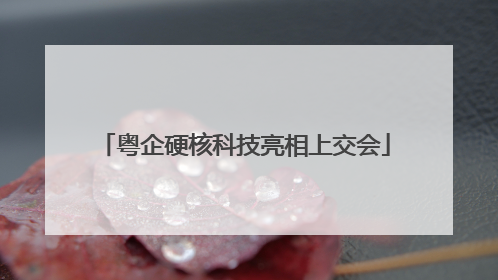 粤企硬核科技亮相上交会