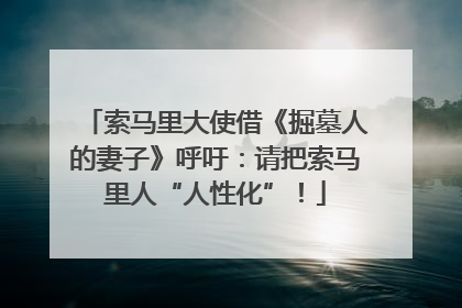 索马里大使借《掘墓人的妻子》呼吁：请把索马里人“人性化”！