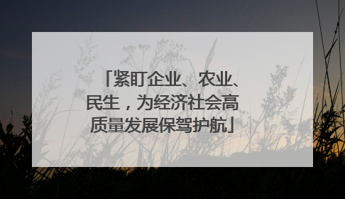 紧盯企业、农业、民生，为经济社会高质量发展保驾护航