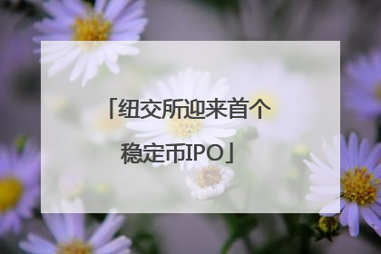 纽交所迎来首个稳定币IPO