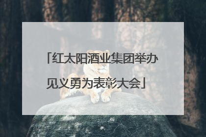 红太阳酒业集团举办见义勇为表彰大会
