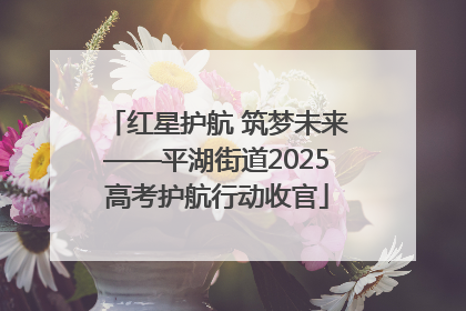红星护航 筑梦未来——平湖街道2025高考护航行动收官