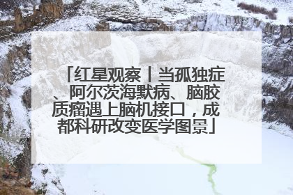 红星观察丨当孤独症、阿尔茨海默病、脑胶质瘤遇上脑机接口，成都科研改变医学图景