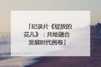 纪录片《绽放的花儿》：共绘融合发展时代画卷