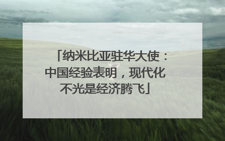 纳米比亚驻华大使：中国经验表明，现代化不光是经济腾飞