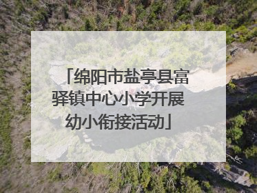 绵阳市盐亭县富驿镇中心小学开展幼小衔接活动