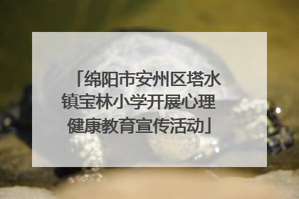 绵阳市安州区塔水镇宝林小学开展心理健康教育宣传活动