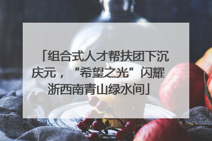 组合式人才帮扶团下沉庆元，“希望之光”闪耀浙西南青山绿水间