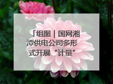 组图｜国网湘潭供电公司多形式开展“计量”主题宣传