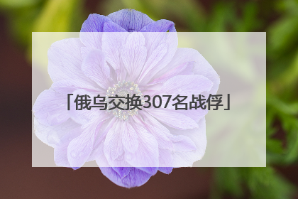 俄乌交换307名战俘