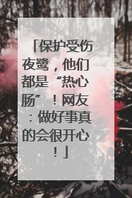 保护受伤夜鹭，他们都是“热心肠”！网友：做好事真的会很开心！