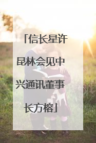 信长星许昆林会见中兴通讯董事长方榕