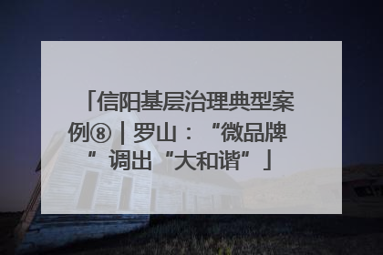 信阳基层治理典型案例⑧｜罗山：“微品牌”调出“大和谐”