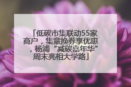 低碳市集联动55家商户，集章换券享优惠，杨浦“减碳嘉年华”周末亮相大学路