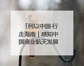 何以中国·行走海南｜感知中国商业航天发展，从文昌开始