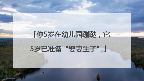 你5岁在幼儿园蹦跶，它5岁已准备“娶妻生子”