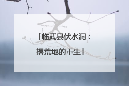 临武县伏水洞：撂荒地的重生