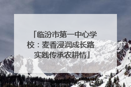 临汾市第一中心学校：麦香浸润成长路 实践传承农耕情