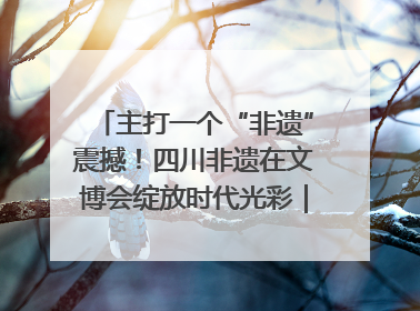 主打一个“非遗”震撼！四川非遗在文博会绽放时代光彩｜文博向“新”