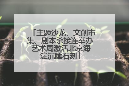 主题沙龙、文创市集、剧本杀接连举办 艺术周激活北京海淀沉睡石刻