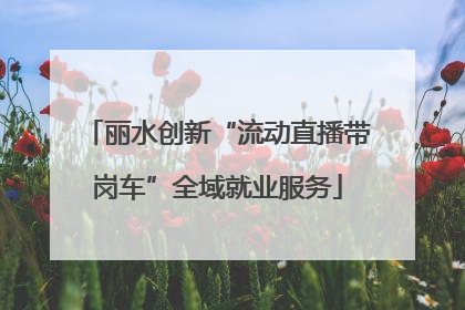 丽水创新“流动直播带岗车”全域就业服务