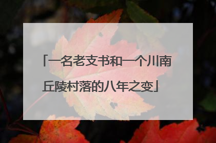 一名老支书和一个川南丘陵村落的八年之变