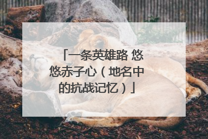 一条英雄路 悠悠赤子心（地名中的抗战记忆）