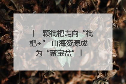 一颗枇杷走向“枇杷+” 山海资源成为“聚宝盆”