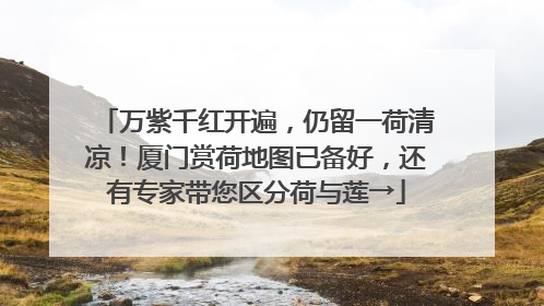 万紫千红开遍，仍留一荷清凉！厦门赏荷地图已备好，还有专家带您区分荷与莲→