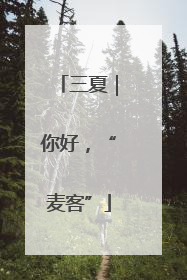 三夏｜你好，“麦客”