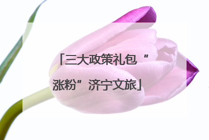 三大政策礼包“涨粉”济宁文旅