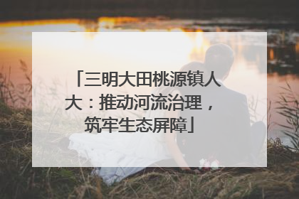 三明大田桃源镇人大：推动河流治理，筑牢生态屏障