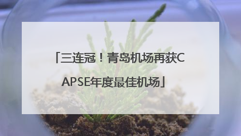 三连冠！青岛机场再获CAPSE年度最佳机场