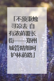 不须秉烛寻凉去 自有浓荫覆长街——郑州城管精细呵护林荫路
