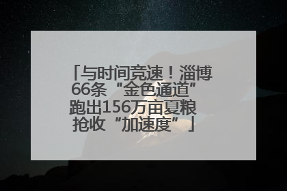 与时间竞速！淄博66条“金色通道”跑出156万亩夏粮抢收“加速度”