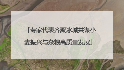 专家代表齐聚冰城共谋小麦振兴与杂粮高质量发展