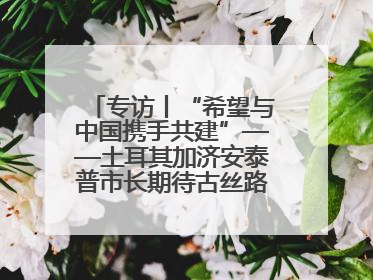 专访丨“希望与中国携手共建”——土耳其加济安泰普市长期待古丝路重镇焕发新活力