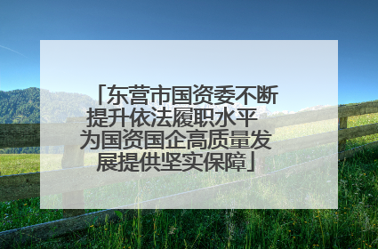 东营市国资委不断提升依法履职水平 为国资国企高质量发展提供坚实保障