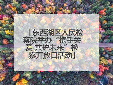 东西湖区人民检察院举办“携手关爱 共护未来”检察开放日活动