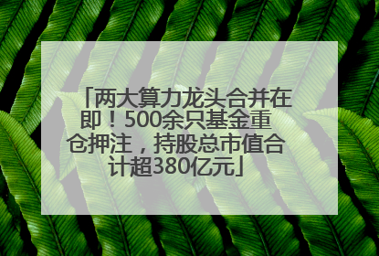 两大算力龙头合并在即！500余只基金重仓押注，持股总市值合计超380亿元