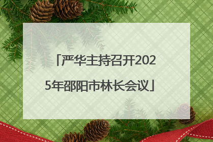 严华主持召开2025年邵阳市林长会议