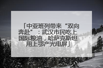 中亚班列带来“双向奔赴”：武汉市民吃上国际粮油，哈萨克斯坦用上鄂产光电屏