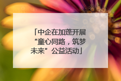 中企在加蓬开展“童心同路，筑梦未来”公益活动