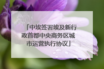 中埃签署埃及新行政首都中央商务区城市运营执行协议