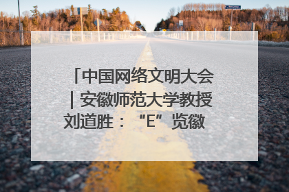 中国网络文明大会｜安徽师范大学教授刘道胜：“E”览徽风，构筑中华民族共有精神家园