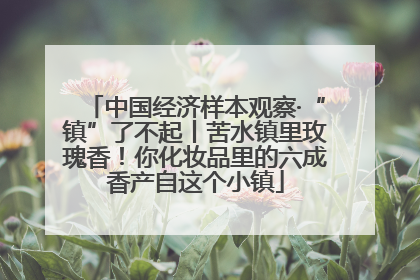 中国经济样本观察·“镇”了不起丨苦水镇里玫瑰香！你化妆品里的六成香产自这个小镇